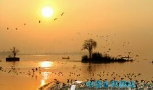 一步步迈向文明