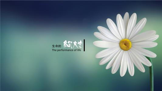 华丽的生活