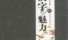 那文化，那汉字，那魅力