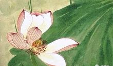 文化情结，源远流长