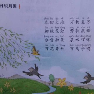 我的语言