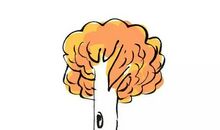 谁来安慰孤独的土地