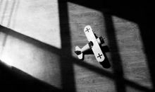 一路艰难，终将飞翔