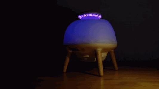 展示蚊子的魅力