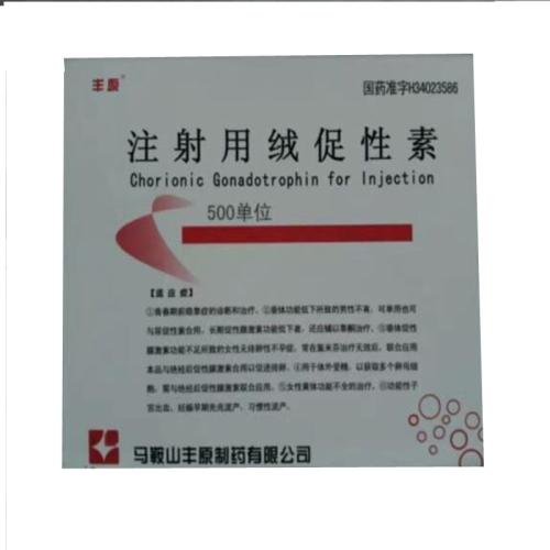 抓住感觉_500字