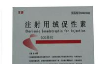 打针的感受_500字