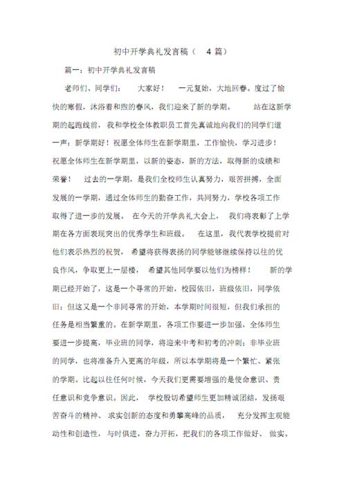 在学校会议上发言