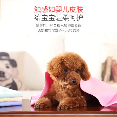 令人难忘的宠物浴