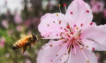 有你，就是春天