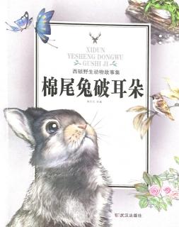 阅读“Siton Wildlife Story”