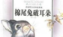 读《西顿野生动物故事》有感