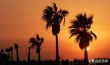 音尘绝，夕阳残照_900字