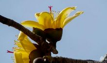 阳光下勃发的中华_800字