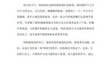 快乐的寒假_650字