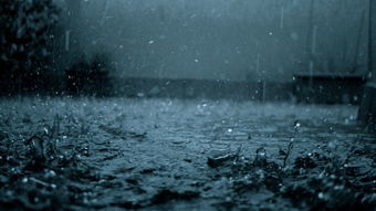 咛咛在雨中