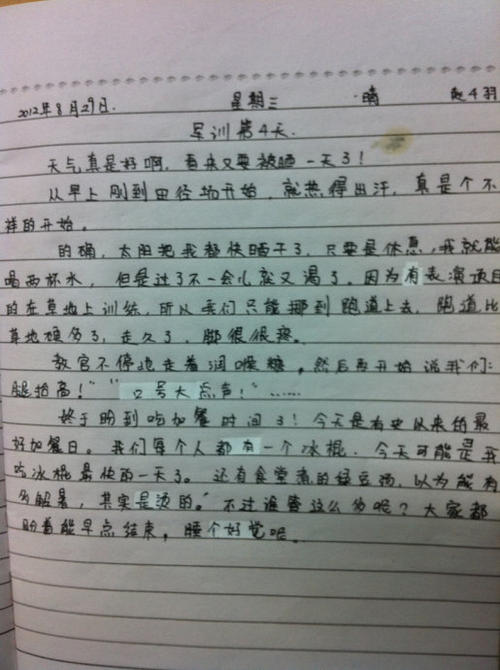 军事训练日记_300字