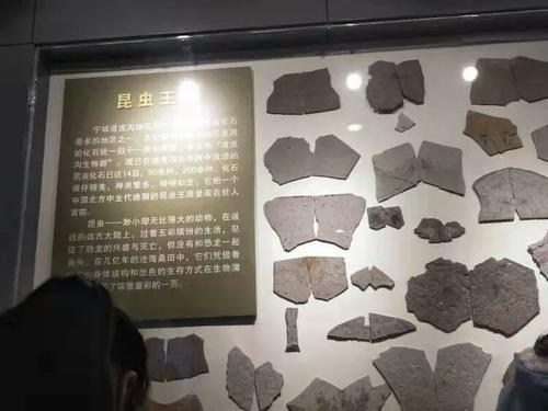 这次我学会了统一。