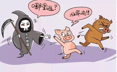 小鼠和乳房的争吵_450字