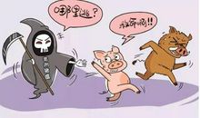 老鼠和乳猪的争吵 _450字