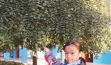 读《中国民间故事有感》有感