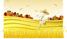 鸟是我们的朋友，我应该爱护它_1000字