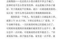 关于奶奶的作文：那一年，那位老奶奶……_1000字