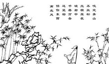 任尔东西南北风_800字