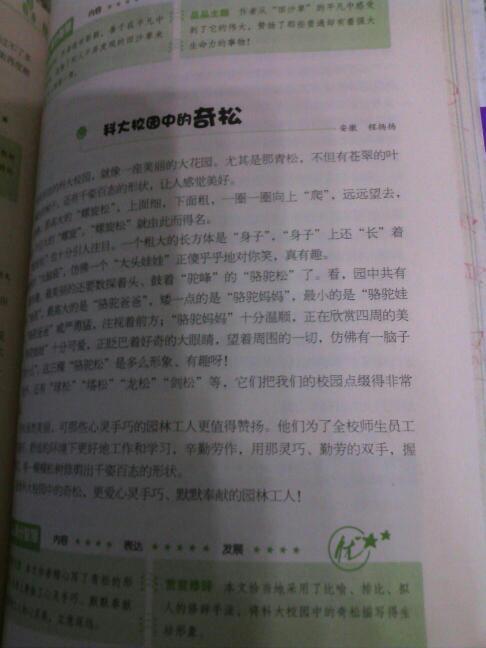 小鱼观察日记