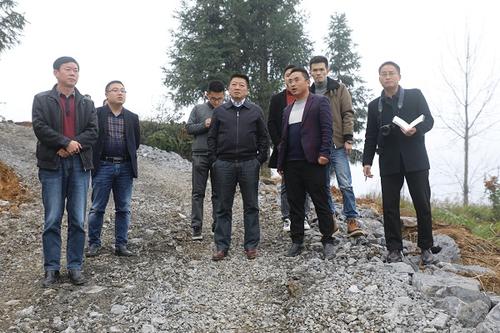 桂花村的成分节