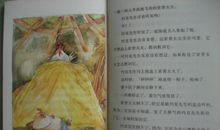 森林里的约克先生读后感