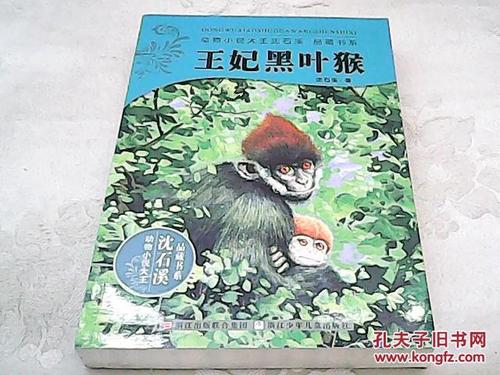 王浩黑猴子读书后