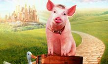 读《牧羊猪》有感