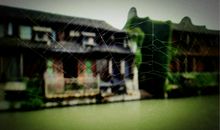 有一种失去叫似水年华_900字