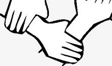 团结就是力量，友情之花因为团结而开的更加娇艳_800字