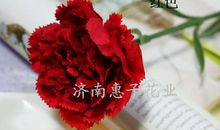 涩涩的康乃馨_750字