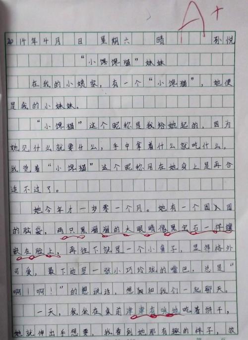 可爱的妹妹_350字