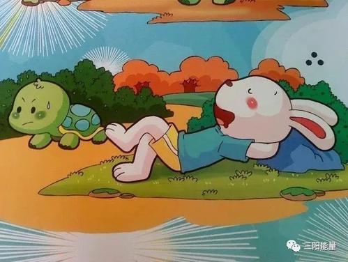 乌龟范围