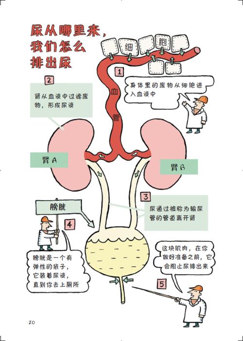 透气