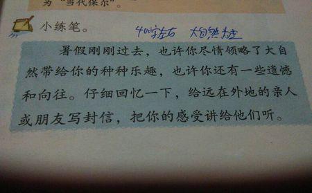 老师老师的一封信_400字