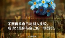 梦想装点你的年岁，平静指引你的梦想_1000字