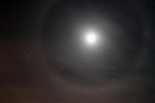 Moon Sai Shu _800字