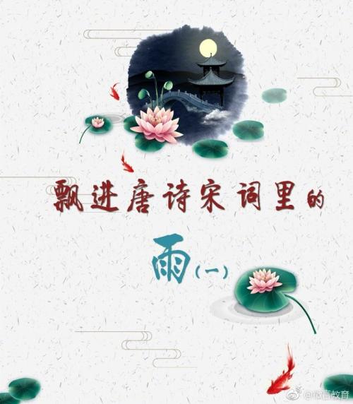 夏天雨_600字