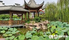 如诗如画的宝葫芦_800字