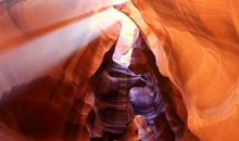 乌龟与羚羊赛跑读后感