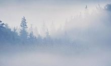 沉默的梦想_500字