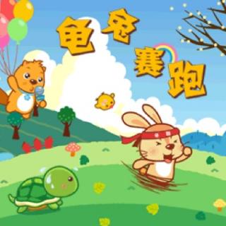 乌龟和兔子种族