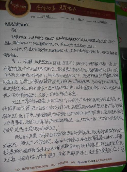高易书：给母亲写一封信_800字