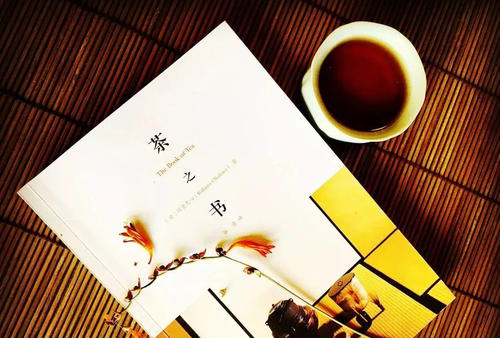我有一本书_900字