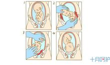 左手与右手_900字