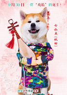 神奇王兴仁